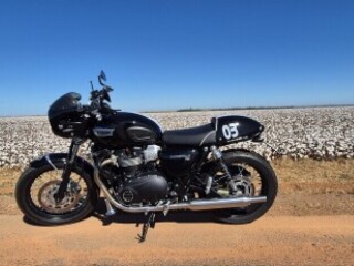 Moto Triumph Bonneville T100 Bonneville T100 por R4900000 em BRASLIA DF