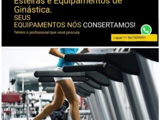 Assistncia Tcnica em Esteiras Neifitness Guaruja SP Pintor de parede e reformas no [***] 