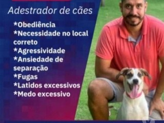 Adestrador de ces Teresopolis RJ Pet shops e veterinrios Teresopolis RJ no [***] 