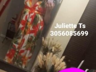 Tu cubanita | Shemale Escort in Fort Myers FL | [***] - 