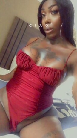 candy-shemale-escort-in-columbia-sc-225-558-3489-big-3