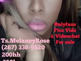 Ts.melaneyrose | Shemale Escort in Philadelphia PA | [***] - 