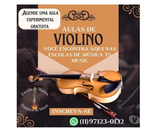 curso-de-violino-em-sao-paulo-sao-mateus-cursos-de-teatro-danca-e-musica-big-0